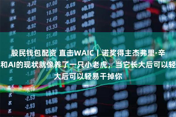 股民钱包配资 直击WAIC丨诺奖得主杰弗里·辛顿：人类和AI的现状就像养了一只小老虎，当它长大后可以轻易干掉你