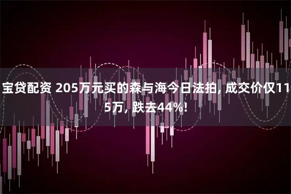 宝贷配资 205万元买的森与海今日法拍, 成交价仅115万, 跌去44%!