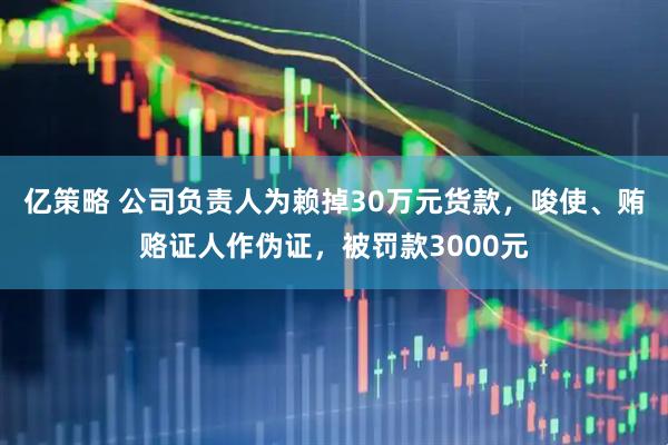亿策略 公司负责人为赖掉30万元货款，唆使、贿赂证人作伪证，被罚款3000元